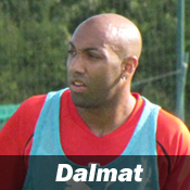 Dalmat refait des siennes