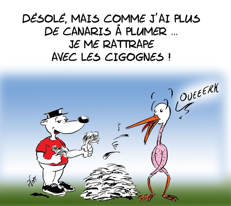 Stade rennais - Strasbourg : Vu par RV