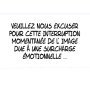 Stade rennais 3 - 2 Nantes