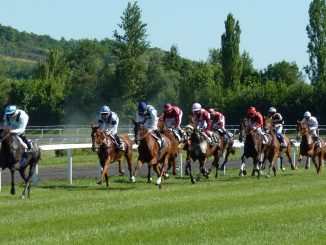 paris sportifs