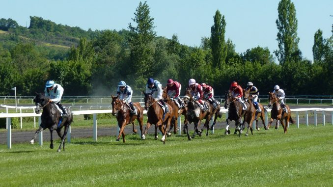 paris sportifs